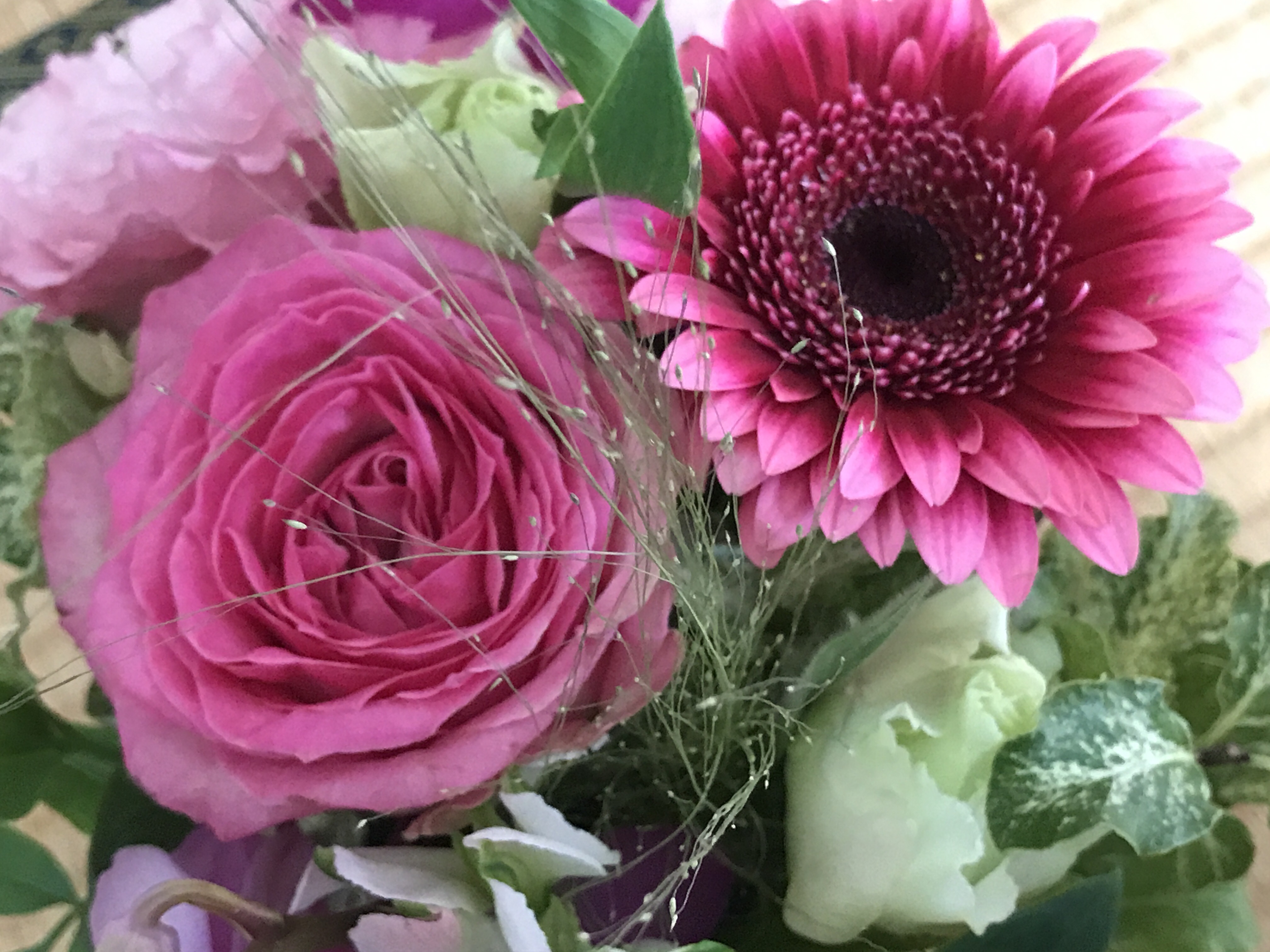 ベリーダンスで花開く